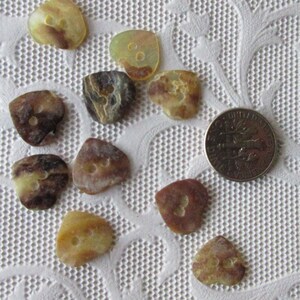 10 Heart Shaped Shell Buttons Mother of Pearl Button 1/2 T - Etsy