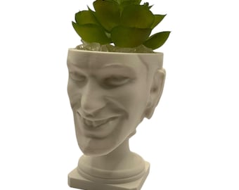 Aphex Twin "Windowlicker" Fake Plant Planter – 4"