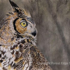 Wildlife Print - Original Owl Art – Giclée Print of Great Horned Owl Colored Pencil Drawing