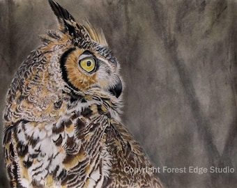 Wildlife Print - Original Owl Art – Giclée Print of Great Horned Owl Colored Pencil Drawing