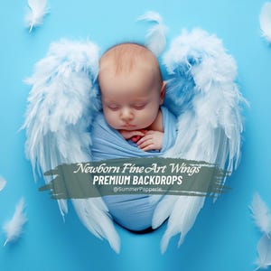 Digitala bakgrunder med änglavingar för nyfödda och blommor, kreativa kompositbakgrunder för redigering av babyfotografi