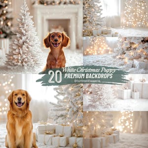 Christmas White Studio Digital Background Puppy Festive Holiday Portrait Backdrop Creative Children Composite Photography Overlay Photoshop