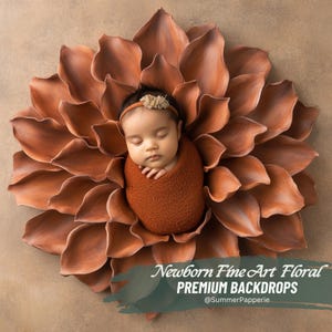 Lot de décors numériques floraux pour nouveau-nés avec superpositions de photographies, arrière-plans composites créatifs photographie de bébé accessoires de retouche Photoshop