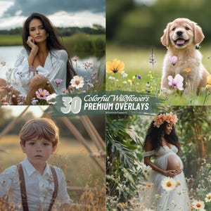 Wildflower Photo Overlays Summer Floral Overlays Photoshop Background Summer Composite Photo Overlays Flower Overlays Minimalist Overlay