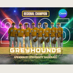 Sports Poster Design Canva Template Baseball Team Baseball Backdrop For Memory Mates Digital Background Senior Sports Banner Sports Template