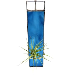 May include: A blue stained glass planter with a metal frame, holding an air plant. The planter is designed to hang on a wall.