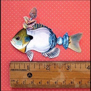 8 x Funky Fish stickers, vintage reprint Die cut matte paper stickers/ not WATERPROOF image 3