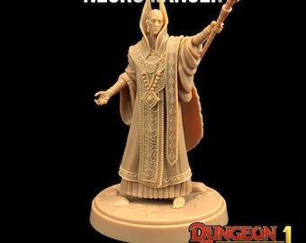 Necromancer Mini Dungeon Classics NPC | The Dragon Trappers Lodge | 32mm Scale | Miniature TTRPG Mini DnD Dungeons Dragons Wargame
