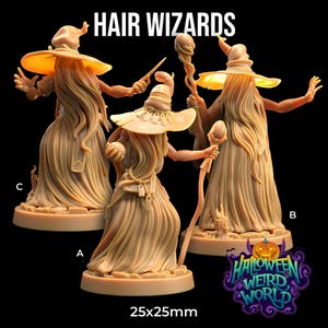 May include: Three beige-colored wizard figurines with long flowing hair, wide-brimmed hats, and robes. One holds a wand, another a staff, and the third has open hands. The text "HAIR WIZARDS" is at the top. The base size is 25x25mm.