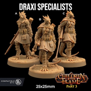 Draxi Specialists | The Dragon Trappers Lodge | 32mm Scale | Miniature TTRPG Mini DnD Dungeons Dragons Wargame