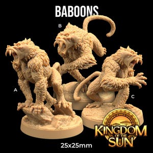 Op de afbeelding: Drie gedetailleerde miniatuurfiguurtjes van bavianen, elk met een andere pose en uitdrukking. De figuurtjes zijn geschilderd in een realistische beige kleur en staan op ronde voetstukken. De voetstukken zijn versierd met een getextureerd oppervlak en een klein rotsje. De figuurtjes zijn gelabeld met A, B en C. De tekst "Kingdom of the Sun" en "25x25mm" zijn ook zichtbaar in de afbeelding.