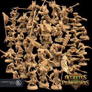 Op de afbeelding: Een verzameling van 28 ongeverfde miniatuurfiguren van verschillende dinosaurussen en reptielachtige wezens. De figuren zijn in verschillende dynamische poses geposeerd, sommige houden wapens of gereedschap vast. De figuren zijn gemaakt van lichtbruin plastic en zijn compatibel met regels op één pagina. De figuren zijn gelabeld met "Acolytes of the Primordials".