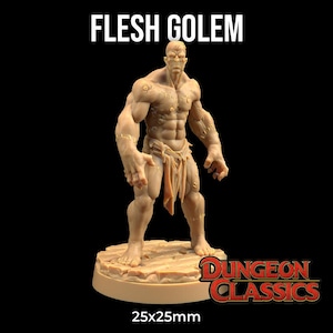 Op de afbeelding: Een bruin Flesh Golem miniatuurfiguur, staand op een getextureerde basis. De figuur heeft zichtbare steken en een verscheurde lendendoek. De tekst "FLESH GOLEM" staat bovenaan en "DUNGEON CLASSICS" rechtsonder. De basis meet 25x25mm.