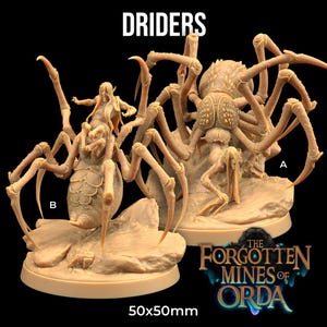 Może przedstawiać: Dwie beżowe figurki fantasy przedstawiające stworzenia przypominające pająki z ludzkimi cechami. Figurki oznaczone są literami "A" i "B". U góry znajduje się napis "DRIDERS", a u dołu "THE FORGOTTEN MINES OF ORDA". Podstawa ma wymiary 50x50mm.