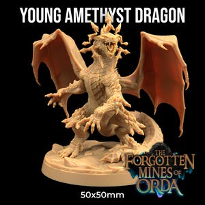 May include: A beige-colored miniature dragon figurine with outstretched wings and an open mouth, standing on a textured base. The text "YOUNG AMETHYST DRAGON" is at the top, and "50x50mm" is at the bottom. The Forgotten Mines of Orda logo is on the base.