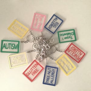 Porte-clés allergie, Rentrée scolaire, Porte-clés santé, Alerte médicale, Allergie aux noix, Epi-Pen, Étiquette de sac, Charme d'alerte d'urgence, Personnalisation