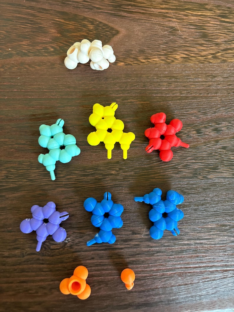 3D DNA RNA Model Kit: STEM Genetics Learning, Biology Classroom Tool - Etsy