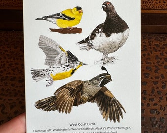 West Coast Birds Greeting Card