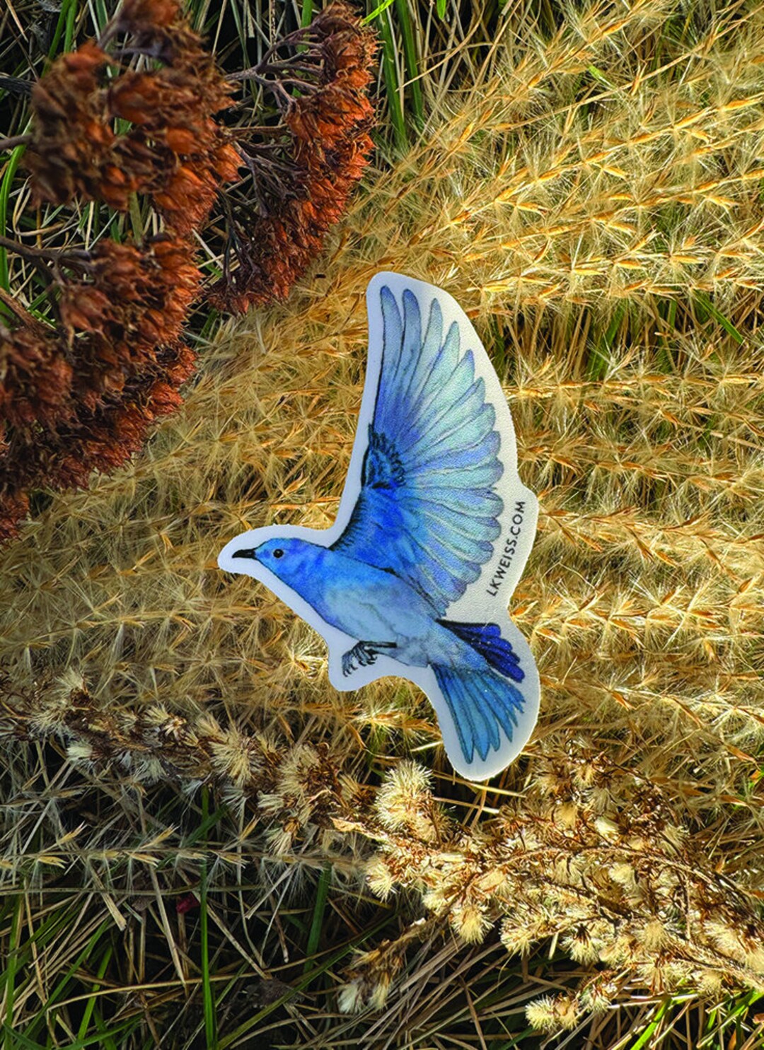 Mountain Bluebird Sticker - Etsy
