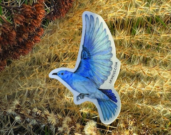 Mountain Bluebird Sticker