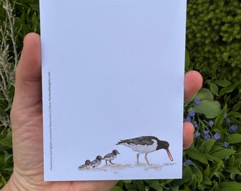 American Oyster Catcher Note Pad