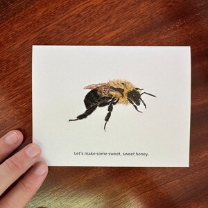 Carte de voeux abeille