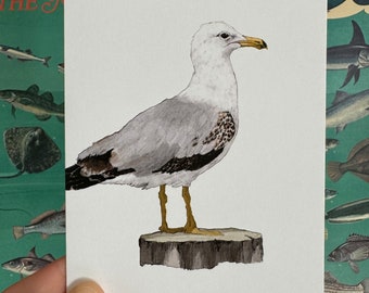 Seagull Greeting Card