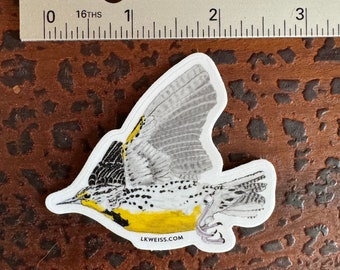 Western Meadowlark Sticker