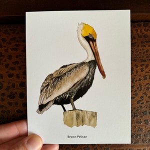 Biglietto d'auguri pellicano