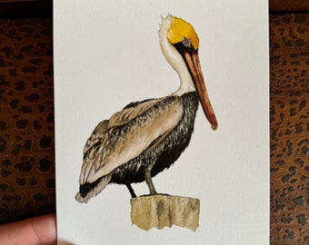 Pelican Greeting Card