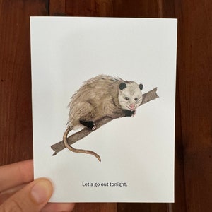 Possum Greeting Card
