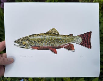 Signed Brook Trout print