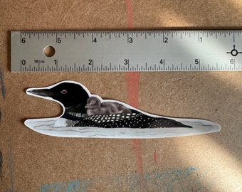 Common Loon Sticker