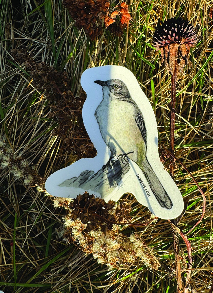 Northern Mockingbird Sticker: Hand-drawn Vinyl Decal - Etsy