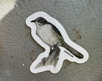 Northern Mockingbird Sticker: Hand-Drawn Vinyl Decal