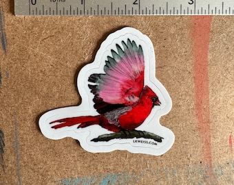 Cardinal in flight Sticker