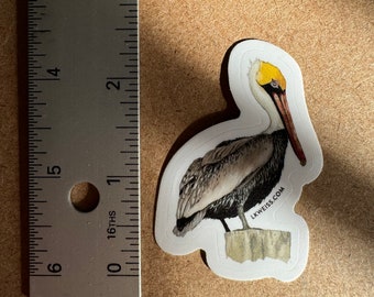 Pelican Sticker: Louisiana State Bird Vinyl Decal