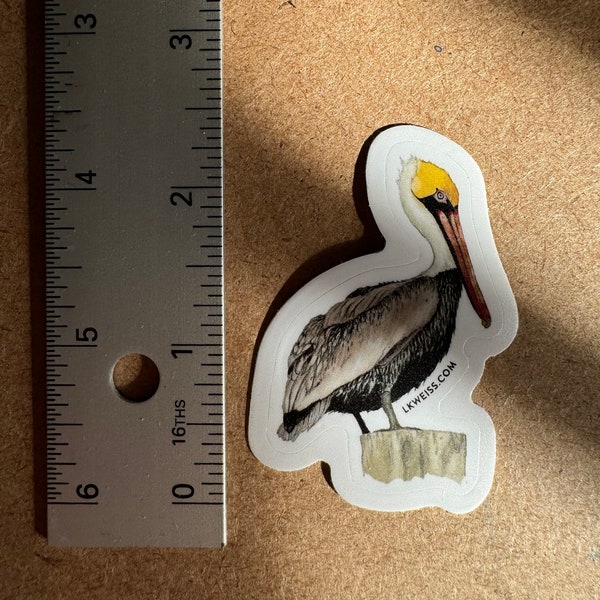 Adesivo pellicano: decalcomania in vinile con uccello dello stato della Louisiana