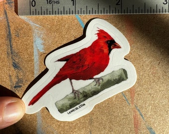 Cardinal Sticker: 3" Vinyl Decal, Maine Artist