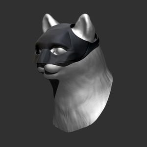 Puede incluir: Representación en escala de grises de la cabeza de un gato con una máscara negra. La máscara cubre los ojos y la nariz, con un diseño elegante y aerodinámico. El pelaje del gato es de color gris claro, contrastando con la máscara oscura. Las orejas son plateadas.