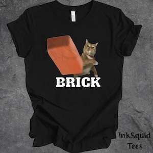 Funny Meme Cat Throwing Brick T-shirt, Meme Shirt, Silly Cats Tee, Unhinged Clothes, Brainrot Shirts, Cat Lover Gifts, Cursed Shirt, Kidcore