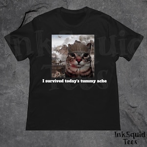 Funny Tummy Ache Survivor T-Shirt, Kidcore shirts, Meme shirts, cursed shirts, unhinged graphic t shirts, Oddly specific shirts, Cute gifts