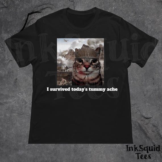 Funny Tummy Ache Survivor T-Shirt, Kidcore shirts, Meme shirts, cursed shirts, unhinged graphic t shirts, Oddly specific shirts, Cute gifts
