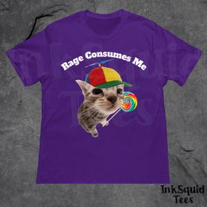 Rage Consumes Me Funny Cat Meme T-Shirt, Funny Unhinged Kitty Tee, BrainRot Shirt, Cursed Dark Humor Shirt, Sarcastic Cat Lover Gift