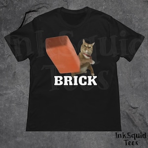 Funny Cat Throwing Brick T-shirt, Meme Shirt, Silly Cats Tee, Unhinged Clothes, Brainrot Shirts, Cat Lover Gifts, Stupid Gifts, Weird Tshirt
