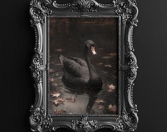 Black Swan Art Print, Dark Aesthetic Wall Decor, Moody Nature Wall Art, Elegant Swan Artwork, Digital Download