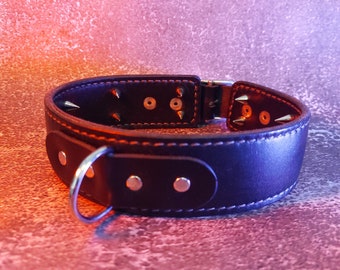 Custom inner spiked collar