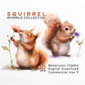 Entzückendes Eichhörnchen und Blumen Clipart JPG, perfekt für Kinderzimmer Dekor | Grußkarten | Digitaler Download | Hochwertig | Eichhörnchen Art