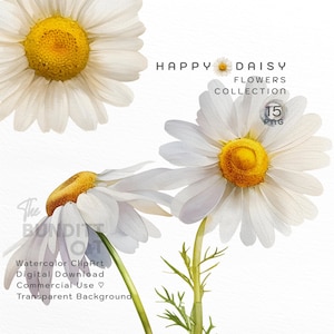 Madeliefje ClipArt | Aquarel madeliefje | Bloemenclipart | PNG | Transparante achtergrond | Bloemenillustraties | Zomerbloem | Commercieel gebruik