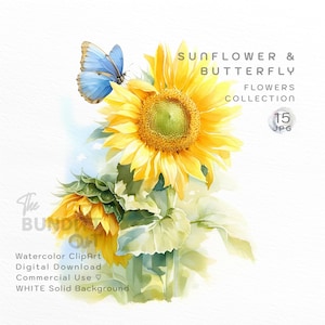 15 Sonnenblume und blauer Schmetterling Clipart | Aquarell Blumen JPG | Hochwertig | Sommer botanische Kunstdruck | Gelbe Blumen Illustration